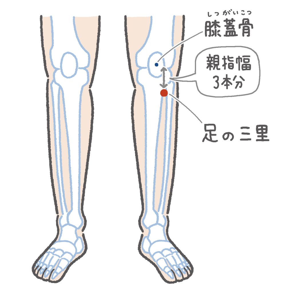 胃の不調 不快感に 胃腸 が元気になる足つぼ4選 からだにいいこと