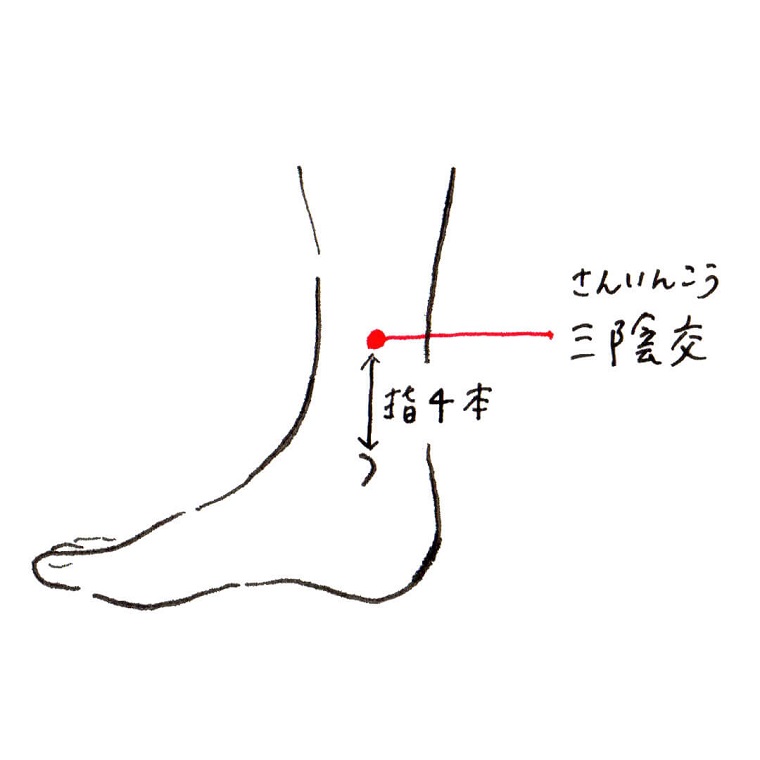 毎月つらい 生理痛 に 東洋医学のセルフケアで和らげるには 田中友也さん 季節の養生法 からだにいいこと