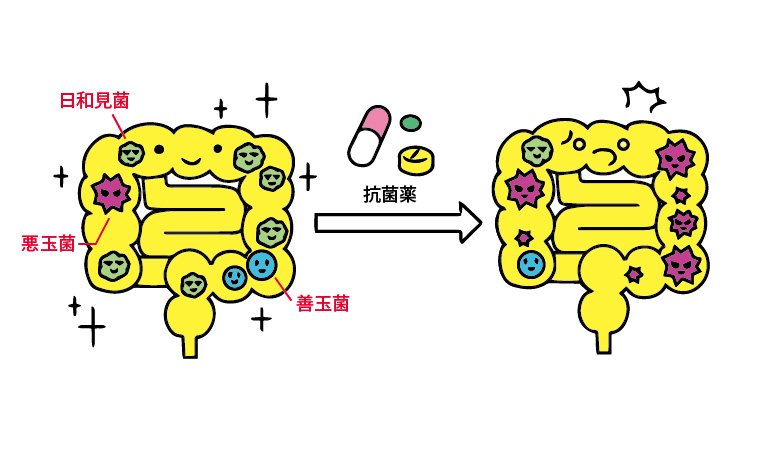 腸内細菌と抗菌薬