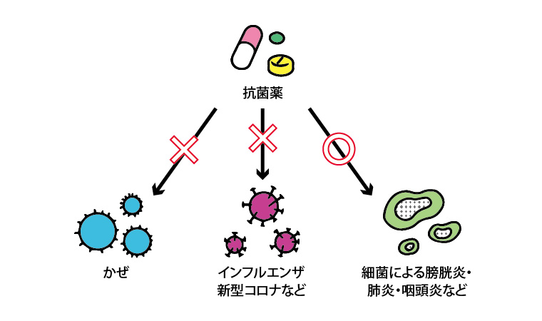 抗菌薬の説明