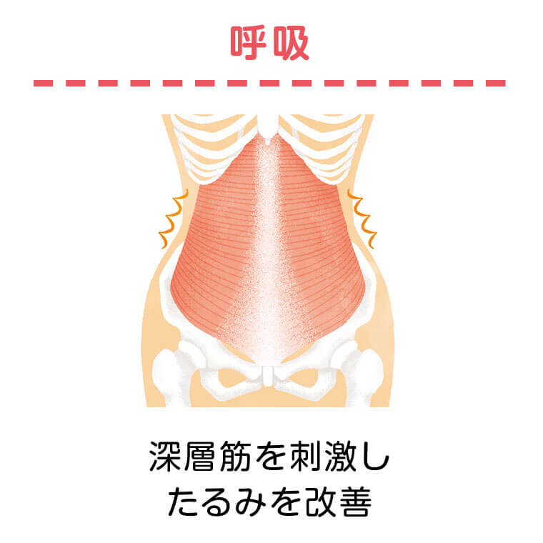 呼吸　深層筋を刺激したるみを改善