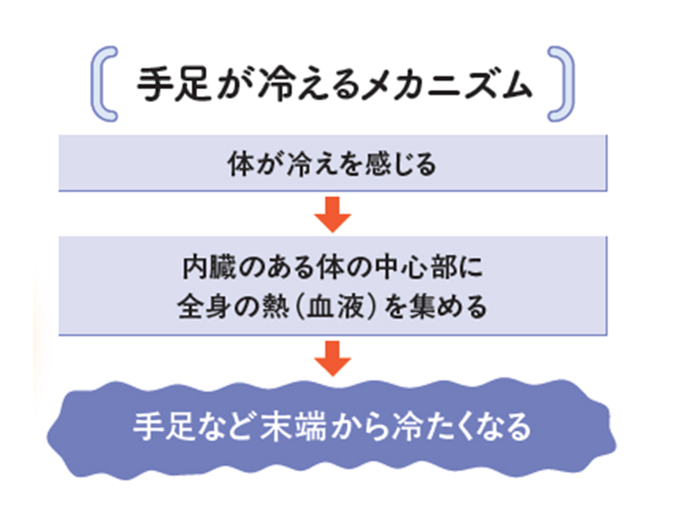 冷えのメカニズム