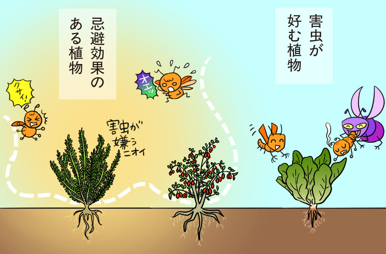 害虫防除するシステムの導入