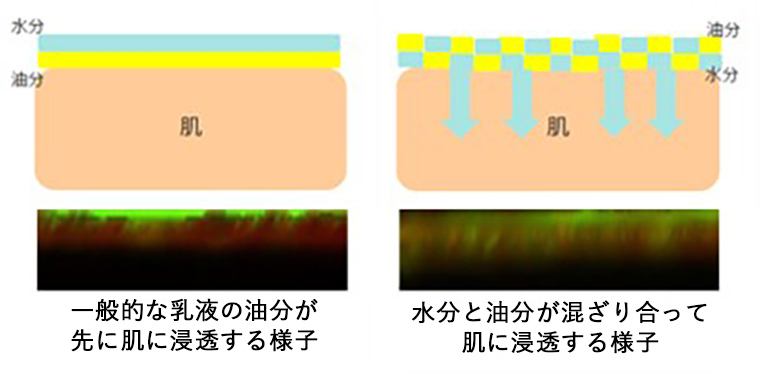 narismaison_水分と油分の浸透